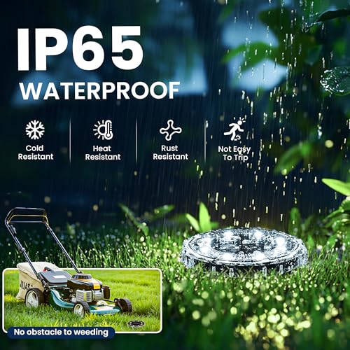 Solar Ground Lights - Cool White, 12 Pack