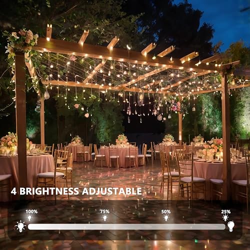 Warm White 200 LED Twinkle Lights - 81Ft, 8 Modes & Timer