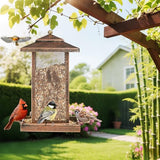 Wild Bird Feeder - Lantern-Shaped Design