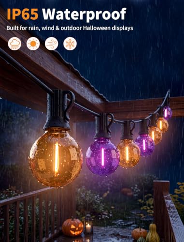 Abeja Halloween G40 LED String Light - Orange Purple