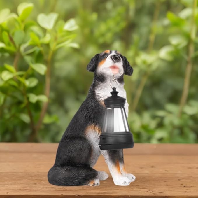 Solar Garden Dog Statue with Lanterns Outdoor Bernese Mountain Dog Garden Decor Figurine Lights for Patio Balcony Shelf Tabletop Lawn, Unique Housewarming Birthday Thanksgiving Gifts for Women Mom