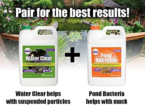 Pondworx Water Clear - Concentrated Formulation Improves Water Clarity and Quality, Helps Clear Cloudy Water, Safe for Fish, Pets, and Plant - 1 Gallon