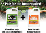Pondworx Water Clear - Concentrated Formulation Improves Water Clarity and Quality, Helps Clear Cloudy Water, Safe for Fish, Pets, and Plant - 1 Gallon