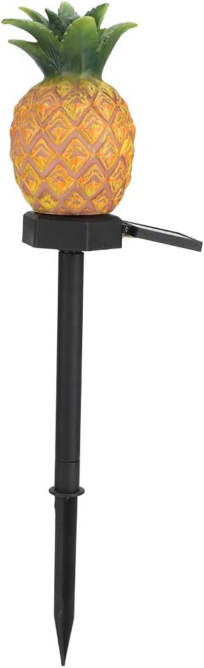 Acouto Outdoor for Pathway & Landscape Decor - for Courtyards, Yards, & Parks (#1)