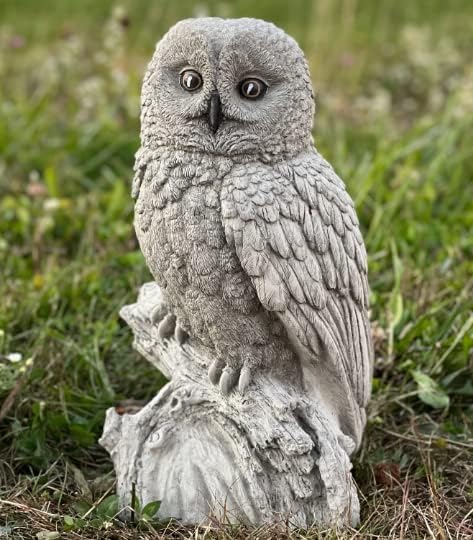 Gray owl Statue for Lawn and Garden Concrete owl Figurine Realistic Owl Sculpture Yard Art Decor Stone Owl Lover Gift