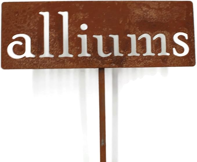 Classic Metal Garden Markers 19 Inches Tall (alliums, Naturally Rusted)