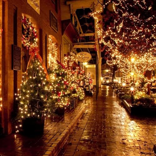 FUNPENY 164FT 500 LED String Lights - 8 Modes, Waterproof, Warm White