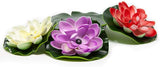 Beckett Corporation Solar Lily Lights for Pond