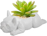OULIGET Resin Dog Sculpture,Mini French Bulldog Garden Statue Planter Pots with Drainage Hole,Cute Bonsai Flower Pots Ornaments for Indoor Office Outdoor Balcony