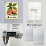 Uptell Vintage Aluminum Grapefruit Fruit Signs Yard Sign with Stake for Garden Fruit Garden Label Stakes Plant Markers for Outdoor Plants Waterproof 8x12 inch