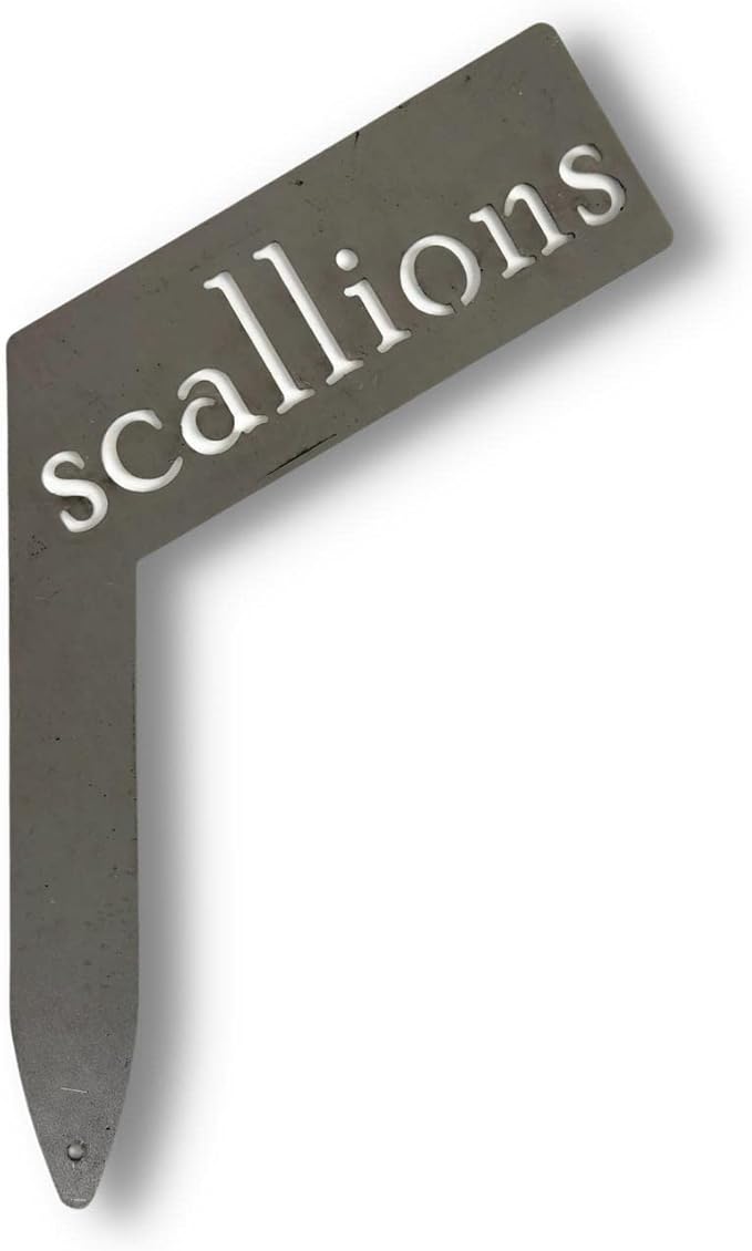 Planter Size Small Metal Garden Plant Vegetable Flower or Herb Markers 13.5 Inches Tall (scallions, Raw, Unfinished Steel)