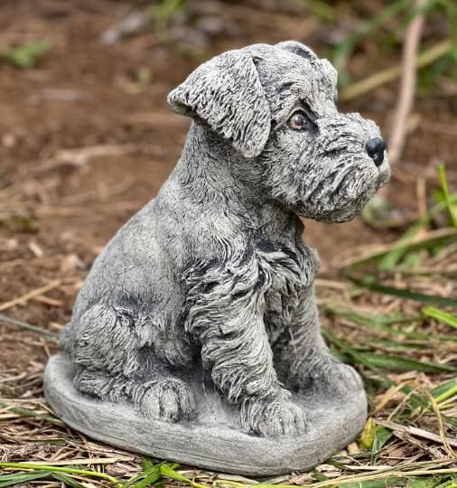 Puppy Schnauzer Statue Mini Schnauzer Gifts Stone Dog Statue Sitting Schnauzer Figurine Gift for a Dog Lover Concrete Garden Figure Outdoor