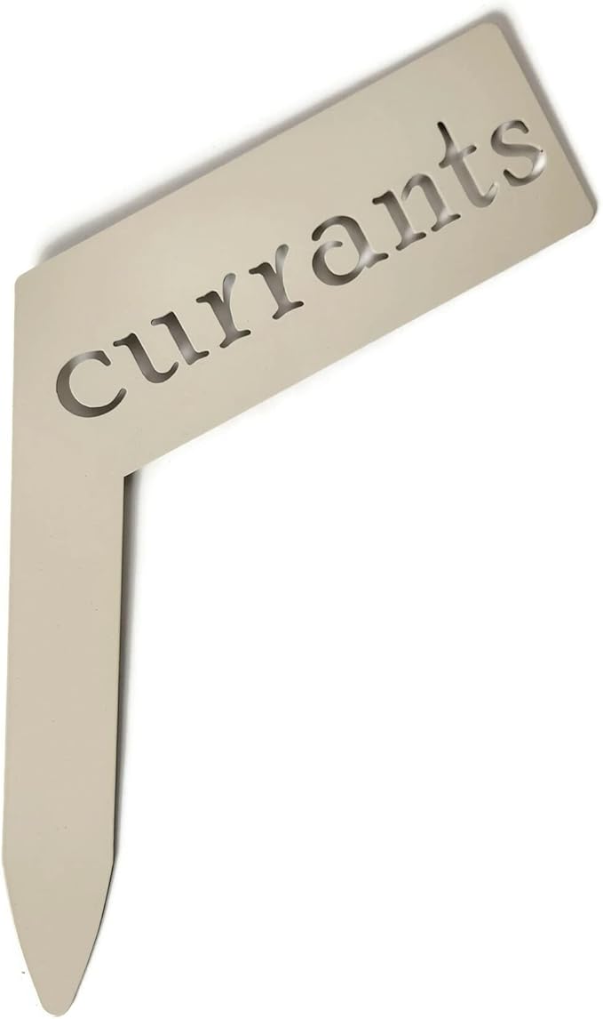 Planter Size Small Metal Garden Plant Vegetable Flower or Herb Markers 13.5 Inches Tall (currants, Cream)