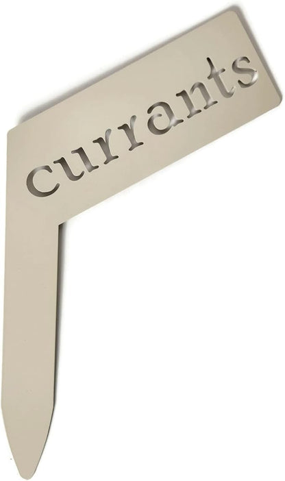 Planter Size Small Metal Garden Plant Vegetable Flower or Herb Markers 13.5 Inches Tall (currants, Cream)