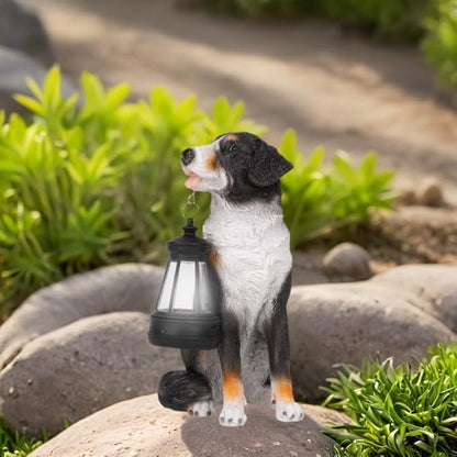 Solar Garden Dog Statue with Lanterns Outdoor Bernese Mountain Dog Garden Decor Figurine Lights for Patio Balcony Shelf Tabletop Lawn, Unique Housewarming Birthday Thanksgiving Gifts for Women Mom