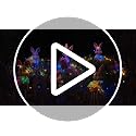 Spring Garden Bunny Lights - 6PC Rabbit Stakes with 393.7" String Lights