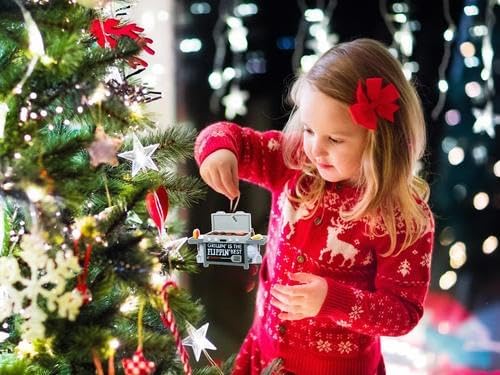BBQ Ornament, 2026 Christmas Ornaments - Grill, Grilling or Smoker Gift - Easy to Personalize at Home - Comes in a Gift Box so It's Ready for Giving
