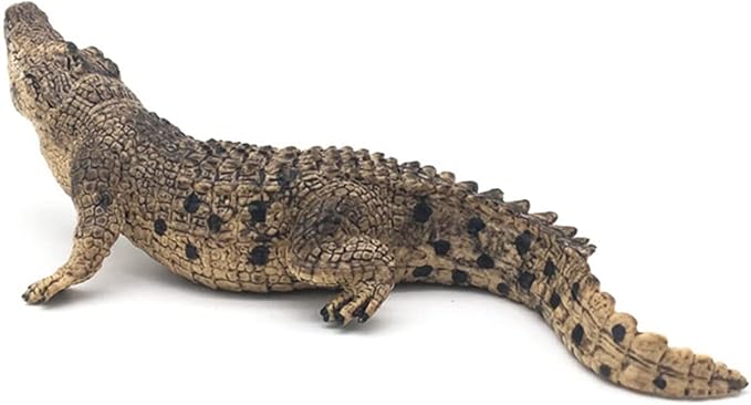 2 Pcs Crocodile Statue Outdoor Lawn Decoration Garden Garden Outdoor Decoration Miniature Statue