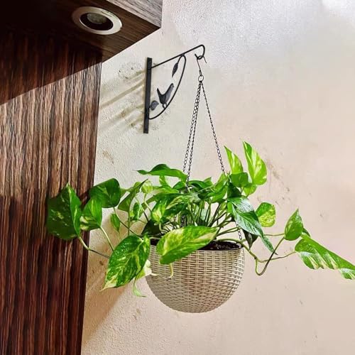 Hanging Plant Bracket - 12" Wall Mount, Black, 4 Pack