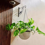 Hanging Plant Bracket - 12" Wall Mount, Black, 4 Pack