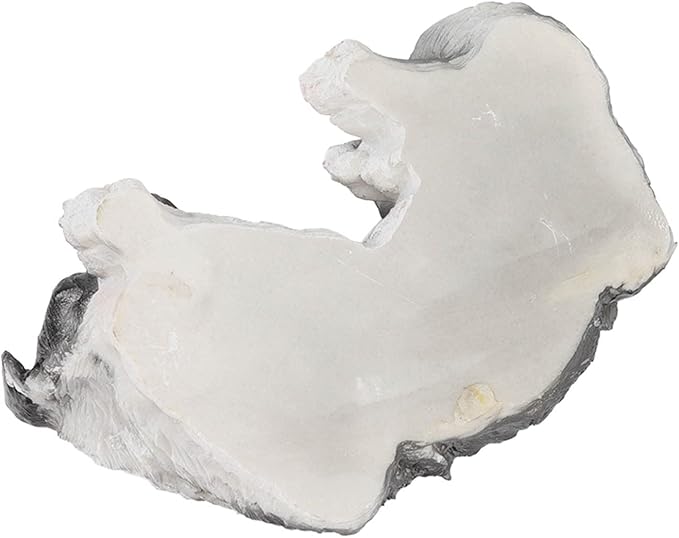 Sleep Puppy Statues Sculptures,Border Collie Figurine,Synthetic Resin Waterproof Border Collie Ornament,Outdoor Dog Statues for Garden Patio, Lawn, Yard Art Decoration