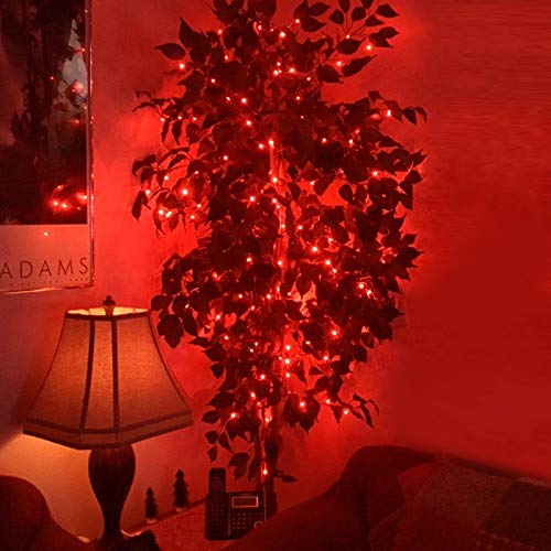 Fairy Lights 33 Ft 100 LED Copper Wire - Red