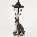 Bits and Pieces - Solar Dog Lantern-Solar Powered Garden Lantern - Resin Dog Sculpture with LED Light (Boston Terrier) - 13.5" Tall