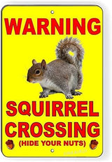Squirrel Crossing Hide Your Nuts Warning Fashion Chic Rust Free Indoor Outdoor Use Sign For Home Cave Garage bar Wall Decoration Vintage Metal Sign 8 x 12 inch (2 Pack)