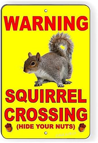 Squirrel Crossing Hide Your Nuts Warning Fashion Chic Rust Free Indoor Outdoor Use Sign For Home Cave Garage bar Wall Decoration Vintage Metal Sign 8 x 12 inch (2 Pack)
