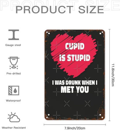 Retro Tin Signs Is Stupid I Was Drunk 8x12 Inches Metal Wall Decor for Garden,Kitchen,Living Room,Patio,Office,Bathroom,and More! Vintage Funny Sign