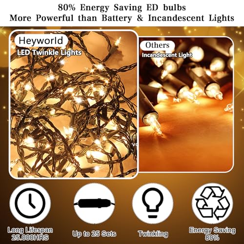 100 LED Slow Twinkle Christmas String Lights