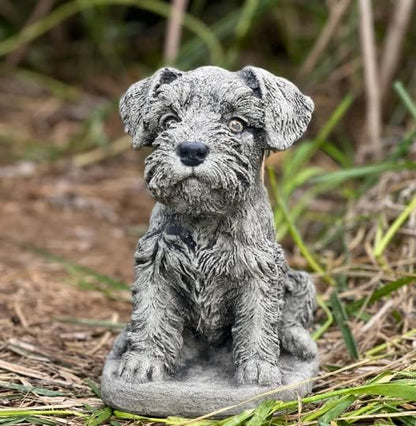 Puppy Schnauzer Statue Mini Schnauzer Gifts Stone Dog Statue Sitting Schnauzer Figurine Gift for a Dog Lover Concrete Garden Figure Outdoor