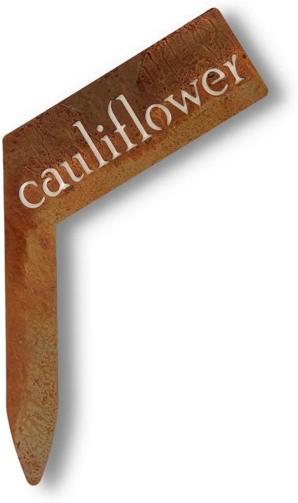 Planter Size Small Metal Garden Plant Vegetable Flower or Herb Markers 13.5 Inches Tall (cauliflower, Naturally Rusted)