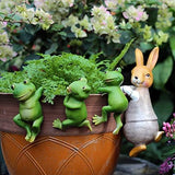 LANDOR Set of 3 Cute Frog Figurines Hanging Animal Statue,Resin Pot Climbing Sculpture Outdoor Statues Ornaments Décor for Flower potFence, Yard Art Patio Lawn House (3 frogs)
