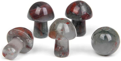 15PCS African Bloodstone Natural Stones Mushroom Sculpture Decor Crystal for Home Crafts Flower Pot Gemstone Mini Mushroom Hand Making Yard Decoration