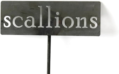 Classic Metal Garden Markers 19 Inches Tall (scallions, Raw, Unfinished Steel (will rust with time))