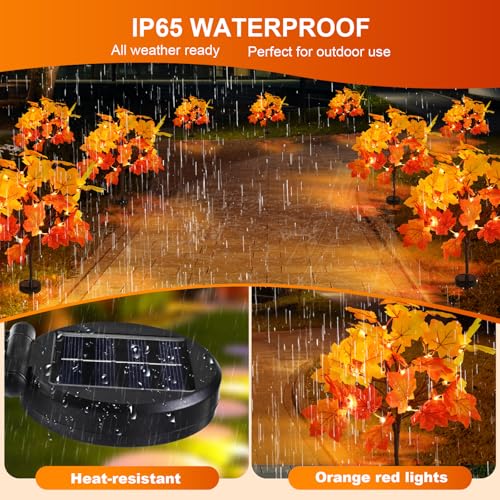 Fall Solar Pathway Lights - 4 Pack, 80LED Maple Leaves