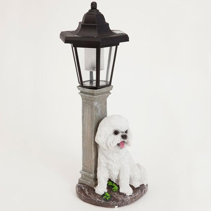 Bits and Pieces - Solar Dog Lantern-Solar Powered Garden Lantern - Resin Dog Sculpture with LED Light (Bichon) - 13.5" Tall