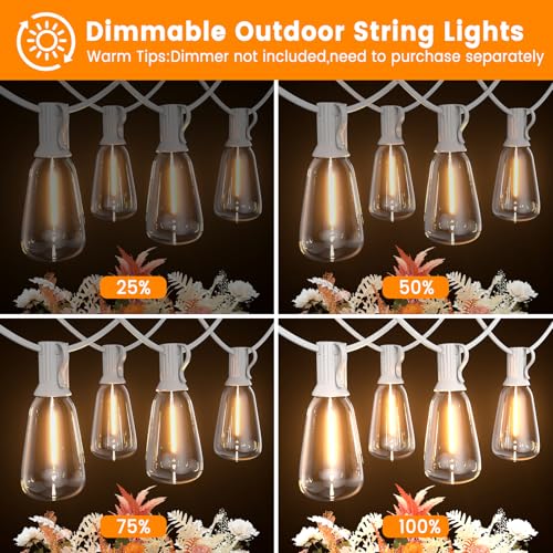100FT Outdoor String Lights - 50 Shatterproof Bulbs