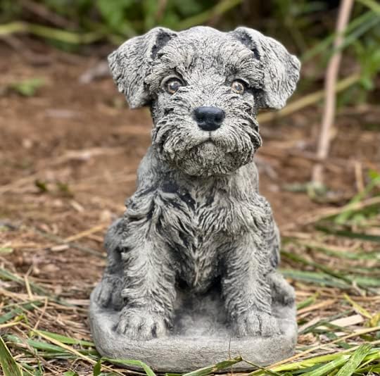 Puppy Schnauzer Statue Mini Schnauzer Gifts Stone Dog Statue Sitting Schnauzer Figurine Gift for a Dog Lover Concrete Garden Figure Outdoor