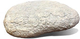 GiftsForYouNow Family Established Personalized Garden Stone, 11.5" W x 8.25" H x 2.5" D, Resin