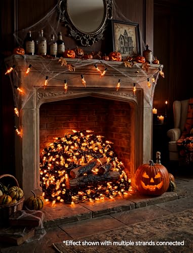 Halloween Flicker Flame String Lights 50FT Orange - 25 Bulbs