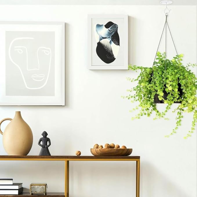 4 Pcs White Ceiling Hooks for Hanging Plants Holder with Safety Buckle,Ceiling Decor Hook Heavy Duty,Metal Plant Hanger Indoor&Outdoor.Hooks for Hanging Plants,Wind Chime,Bird Feeders (White)