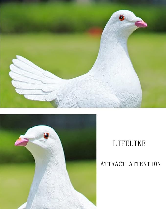 Statues Garden Animal Outdoor Sculpture Pigeon Crafts，Lawn Sculptures Resin，Garden Ornaments Peace Bird，Creative Outdoor Garden Outdoor Garden Summer Decoration for Patio, Yard Art Decora (Set : B)