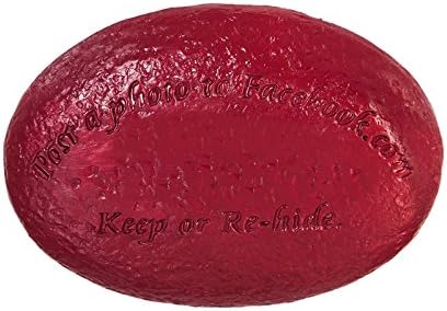Team Sports America NCAA Your Team Rocks Team Logo Garden Rock