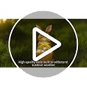 Solar Rabbit Garden Statue - 6x5x8.5" Waterproof LED Light