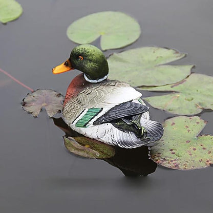 Duck Sculpture,Floating Pond Decor Garden Pool Decoration Resin Duck Statue with Sturdy Material, for Garden Pond, Pool Decor ()
