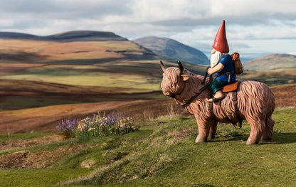 Funny Guy Mugs Gnome Riding A Highland Cow - Funny Garden Gnomes Gifts for Women - Garden Gnomes for Outdoors