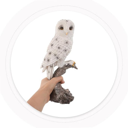 DOITOOL 2PCS Realistic Owl Figurine Weather-Resistant Garden Statues with Fine Detailing for Outdoor Patio Porch Decor and Science Learning