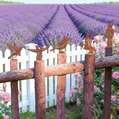 5Pcs Metal Birds Yard Decor for Wall Fence Rusty Garden Art Hummingbirds Pattern Durable Iron Yard Sculptures for Farmhouse Outdoor Pathway Patio Lawn Ornaments Ground Insert Decorations